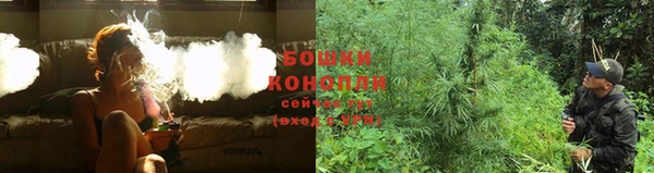 МДПВ Волоколамск