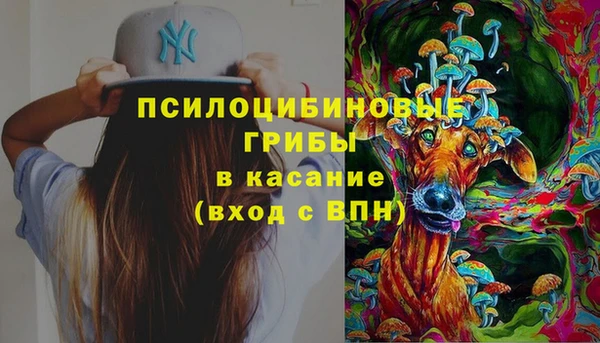 стафф Бронницы