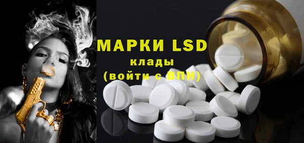 прущие грибы Волосово