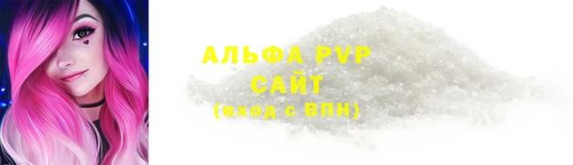 стаф Бородино