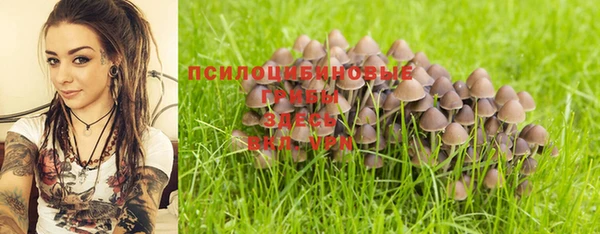 МДПВ Волоколамск