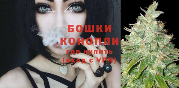 МДПВ Волоколамск