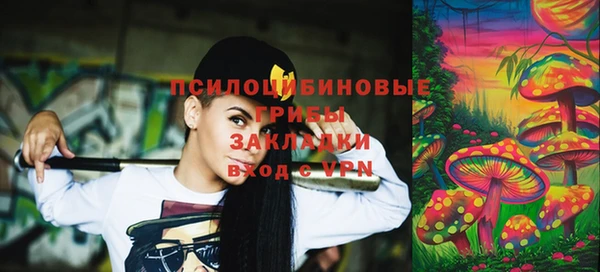 стаф Бородино