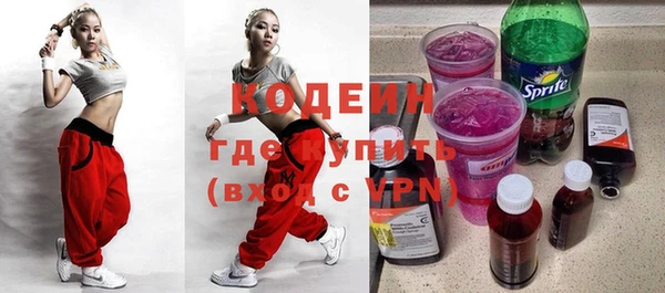 стаф Бородино